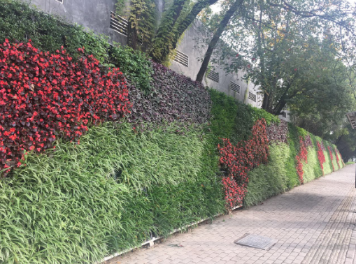 黃石市一道路段擋土墻立體綠化